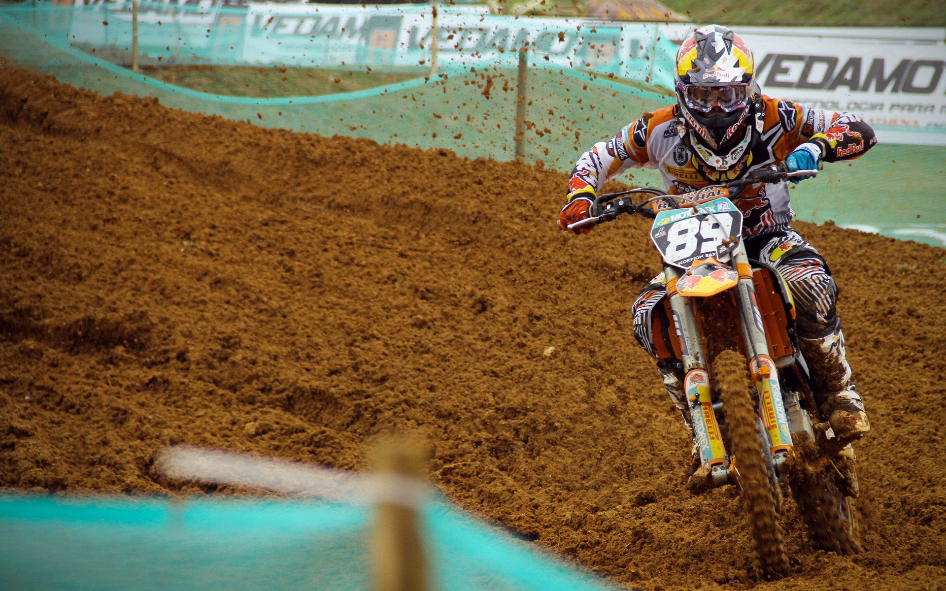 英超桑德兰对阵埃弗顿：黑猫黑马齐力争上游，桑德兰比分